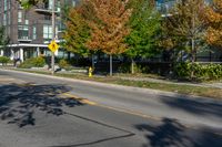 the two yellow and white street signs have some red leaves on it and yellow poles are beside them