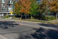 the two yellow and white street signs have some red leaves on it and yellow poles are beside them