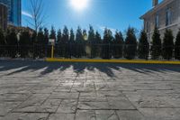 a yellow barrier on a paved pavement surrounded by trees and bushes and blue sky with the sun shining behind it