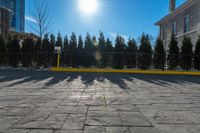 a yellow barrier on a paved pavement surrounded by trees and bushes and blue sky with the sun shining behind it