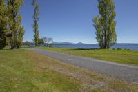 a person that is standing on the side of a road looking at a lake and trees