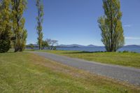 a person that is standing on the side of a road looking at a lake and trees