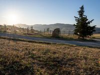 A Sunny Day in Tuscany, Italy: Road and Landscape