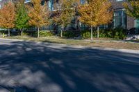 an empty street in front of buildings on a sunny day with lots of leaves and trees on the side