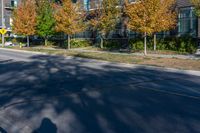 an empty street in front of buildings on a sunny day with lots of leaves and trees on the side