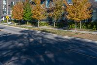 an empty street in front of buildings on a sunny day with lots of leaves and trees on the side