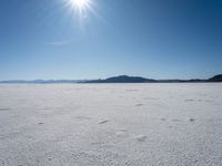 Sunny Day in Utah: Exploring the Desert and Mountain Landscape