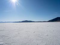 Sunny Day in Utah: Exploring the Desert and Mountain Landscape