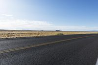 a paved, empty desert street stretches into a blue sky with sparse yellow grass, and lone trees