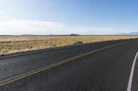 a paved, empty desert street stretches into a blue sky with sparse yellow grass, and lone trees