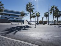 the sun shines behind palm trees on an empty street with buildings and a park