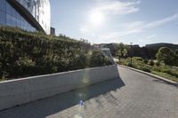 a view of an outside area of an office building with large windows and a circular driveway