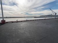 the dock and the water from which one is parked on the pier, with a bird flying in the distance