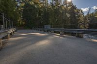 road with railing near the woods, bridge in the foreground and trees to the right of the photo