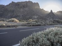 Sunny Landscape in Tenerife, Spain 001