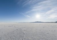 Sunny Landscape in Utah Salt Lake