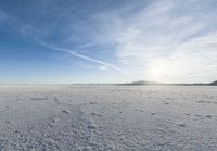 Sunny Landscape in Utah, USA