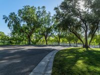 a road that leads to trees on either side of the street and some grass under it