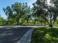 a road that leads to trees on either side of the street and some grass under it