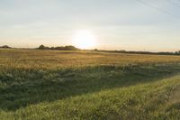 Sunny Midwest Illinois Wisconsin Landscape 001