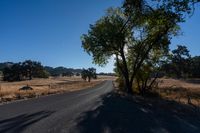 Sunny Road: A Landscape of Agriculture and Farming