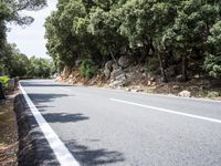 Sunny Road in Spain: Lush Landscape 001