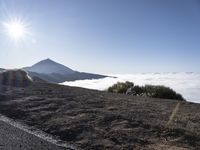 Sunny Road in Tenerife, Spain