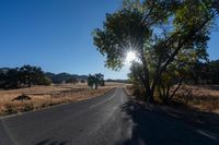 Sunny Rural Landscape: Grass Road under the Sun