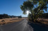 Sunny Rural Landscape: Grass Road under the Sun