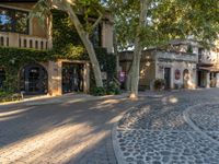 a street with houses and trees and a fountain in the center of it's sidewalk