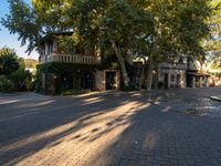 a street with houses and trees and a fountain in the center of it's sidewalk