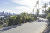 the road is empty, but with some cars and palm trees in the background and a city view in the distance