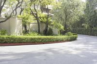 Sunny Suburban Streets in California, USA