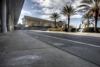 Sunny Van Nuys California Street with Palm Trees