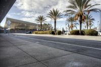Sunny Van Nuys California Street with Palm Trees