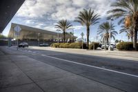 Sunny Van Nuys California Street with Palm Trees