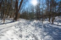 snow is covering the ground by a path and trees covered with snow and grass, with the sun shining above