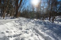 snow is covering the ground by a path and trees covered with snow and grass, with the sun shining above