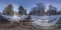 an image of some kind of snow field with trees in the background while one person is skiing