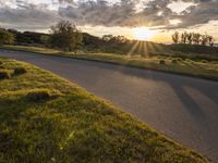 Sunrise in California: Tree-lined Road