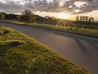 Sunrise in California: Tree-lined Road