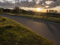 Sunrise in California: Tree-lined Road