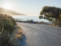 Sunrise over Coastal Road