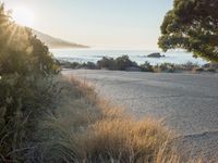 Sunrise over Coastal Road
