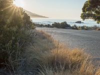 Sunrise over Coastal Road