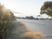 Sunrise over Coastal Road