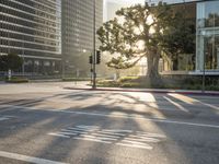Sunrise in Los Angeles, California
