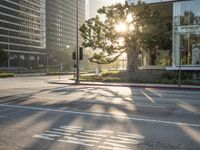 Sunrise in Los Angeles, California
