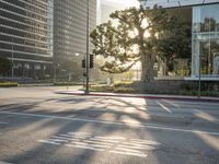 Sunrise in Los Angeles, California