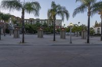 a parking lot with three tall palm trees, some lighting posts and two small buildings